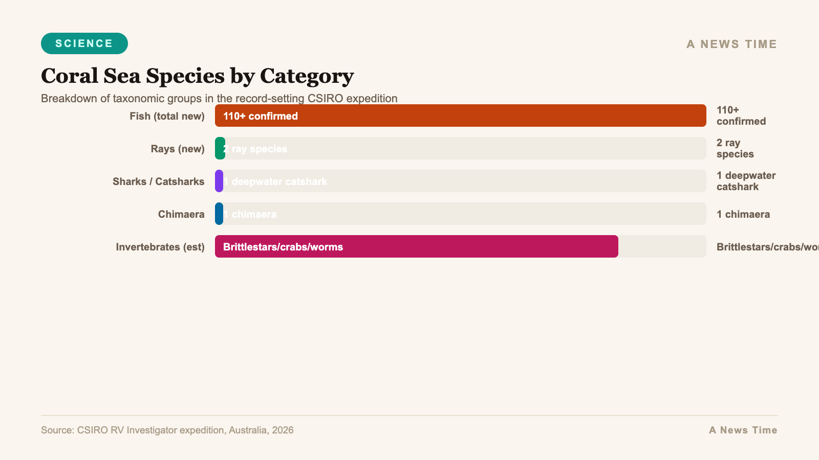 Infographic bar chart visualization for New Species by Taxonomic Group
