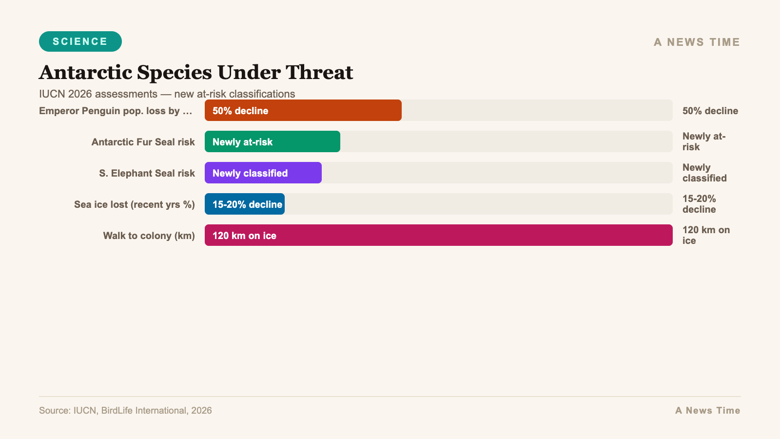 Infographic bar chart visualization for Emperor Penguin Breeding Colony Success Rates